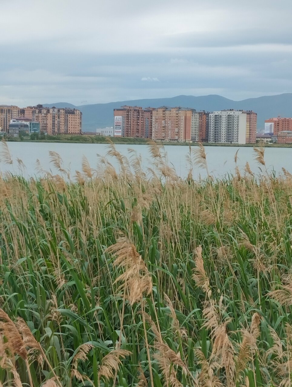 Гостиница Лорд Махачкала-54