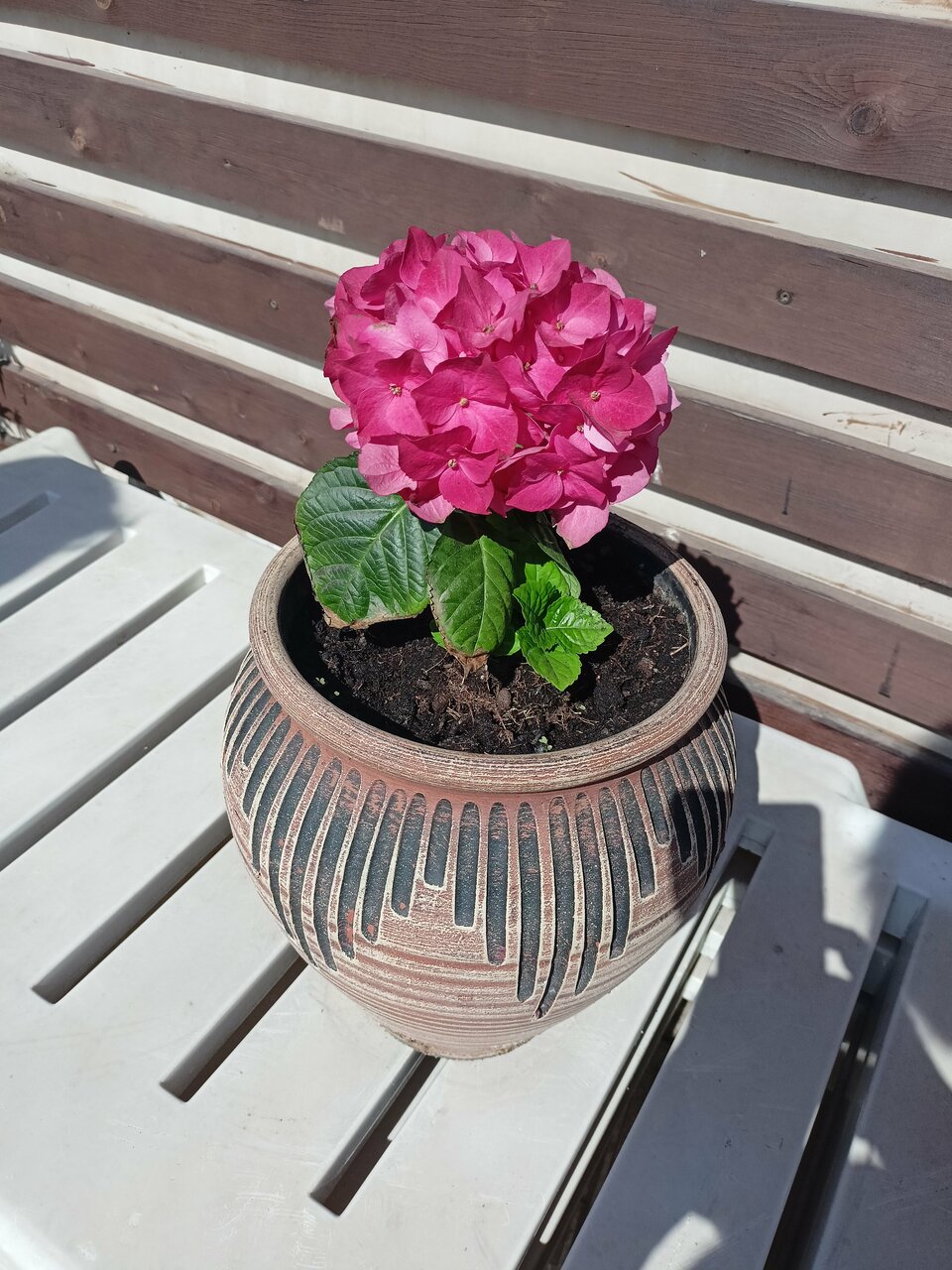 Гостиница Лорд Махачкала-101