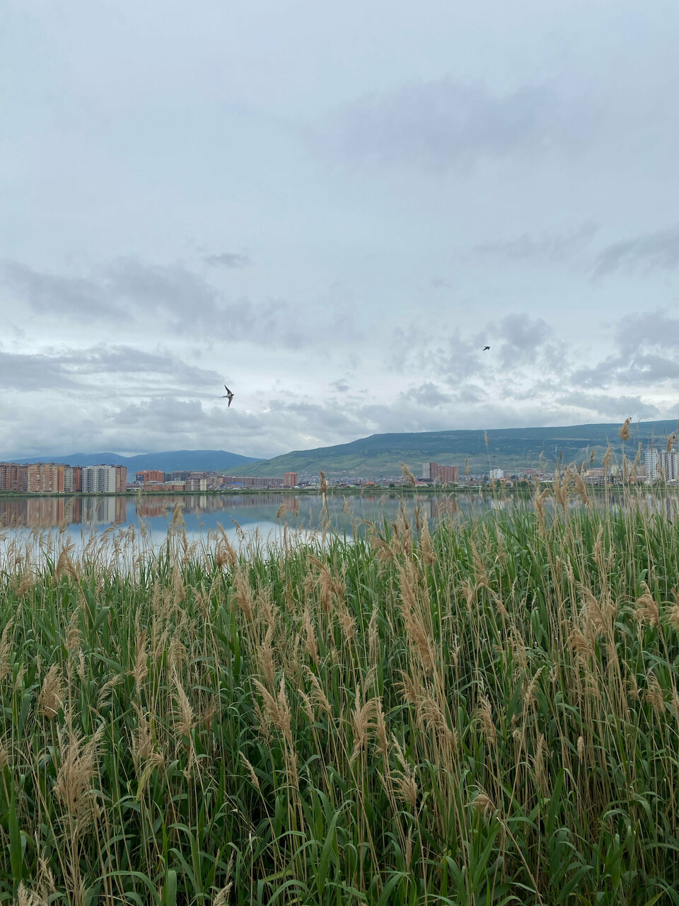 Гостиница Лорд Махачкала-126