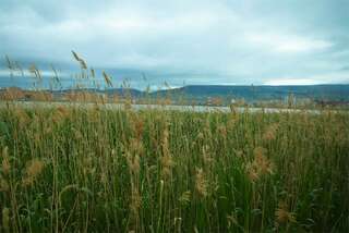 Гостиница Лорд Махачкала Двухкомнатный Супериор с двумя односпальными кроватями и мини-кухней-4