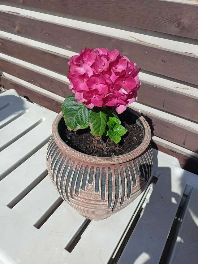 Гостиница Лорд Махачкала-100